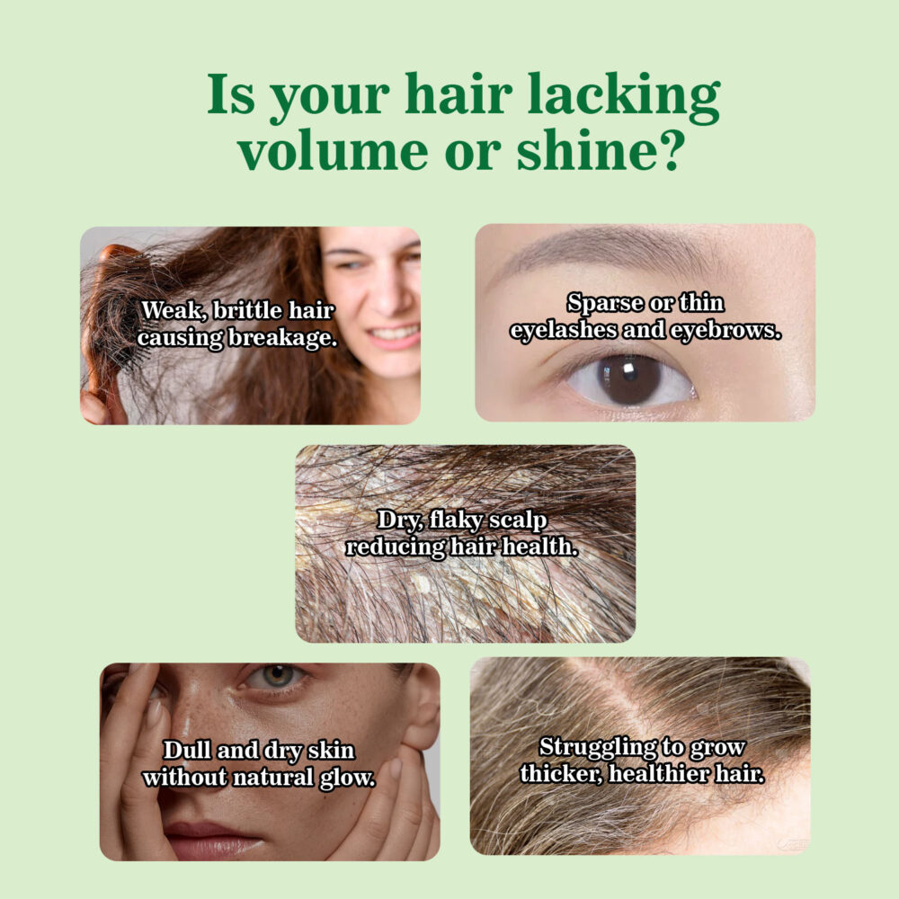 Jamaican black castor oil - Image 4