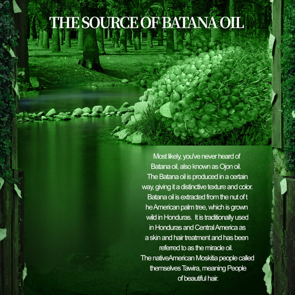 Batana oil hair conditioner - Image 5