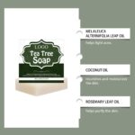Tea tree oil soap - Image 2
