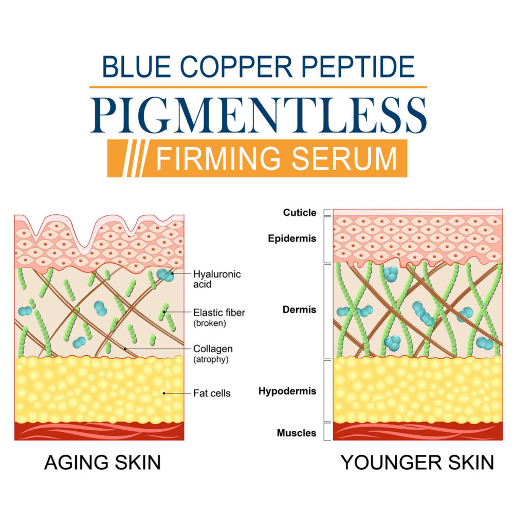 Blue copper peptide anti wrinkle firming essence - Image 3