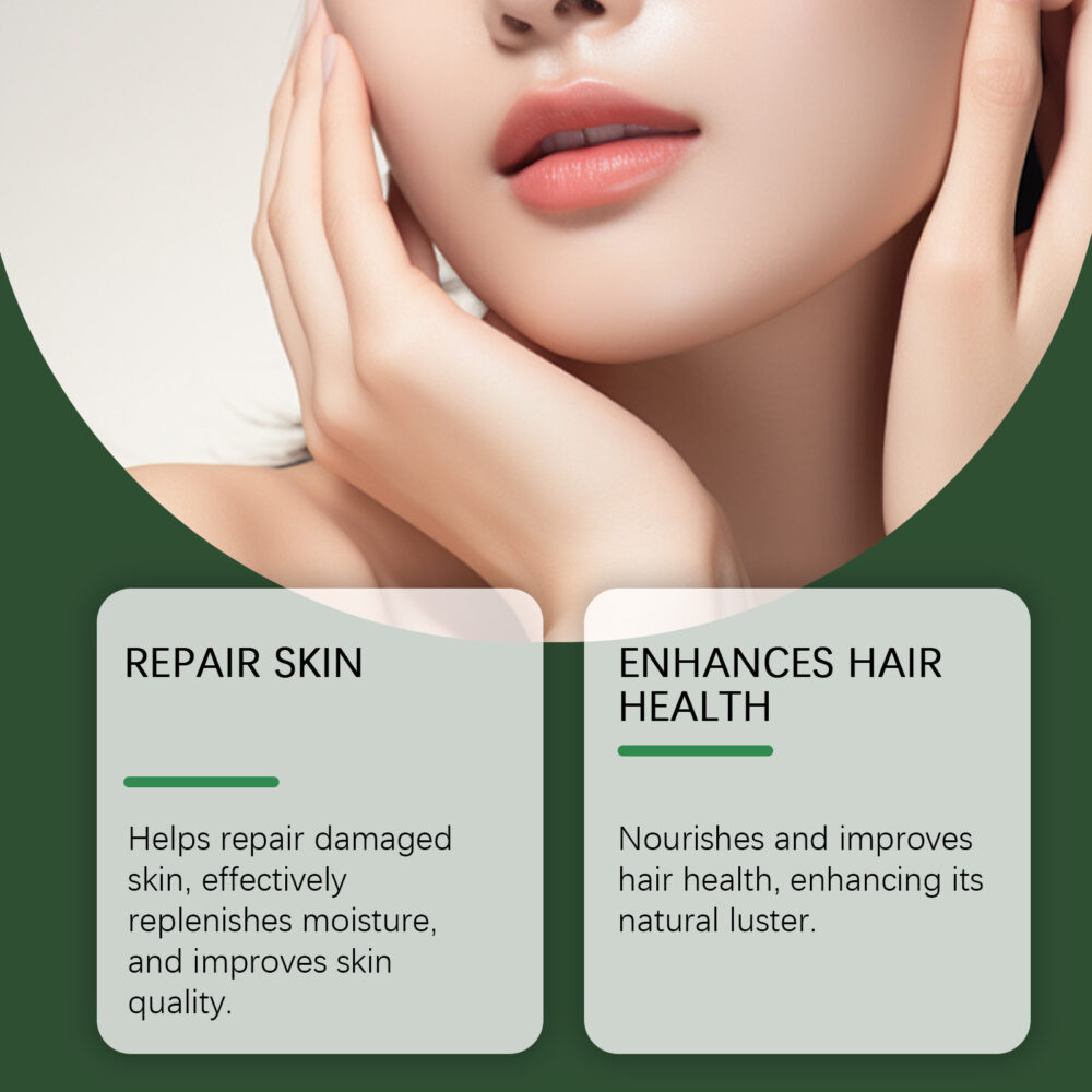 Ball bearing castor oil - Image 3